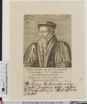 Bildnis Theodor Beza (eig. Théodore de Bèze)