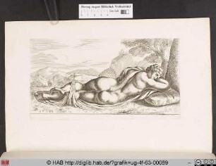 [Schlafender Hermaphrodit]