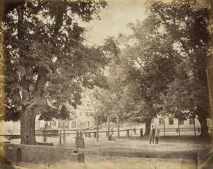 Mittelgrundstudie: Baumschlag: Mächtige Linden mit Staffagen