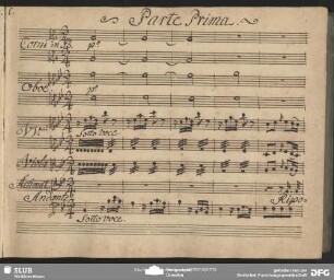 Recitativo arioso: "Riposar placidamente"