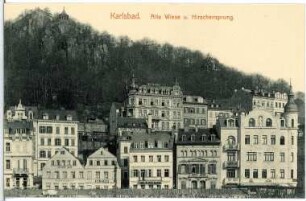 Karlsbad. Alte Wiese und Hirschensprung über Hotel Metropole