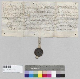 Peter Frank (Frangk), Bürger zu Landshut, verkauft an Stefan Ylloer zu Berg bei Landshut das Neugereut seines Weingartens zu Hagrain (Habran). S: Johann Amann, Kastner zu Landshut