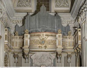 San Francesco di Paola dei Calabresi, Konvex geschwungene Orgelempore