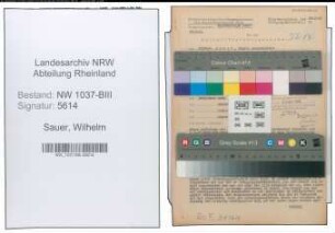 Entnazifizierung Wilhelm Sauer , geb. 19.07.1904 (Kaufm.Angestellter)