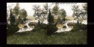 Blick vom Ufer des Gardasees auf Isola del Garda