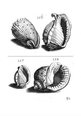 156. - 158.