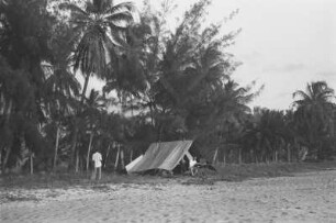 Zelt von Professor Hennig : Expeditionsleiter Edwin Hennig und sein Zelt an einem Strand mit Palmen