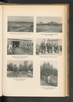 Cotton Spinning by Hand Machine.