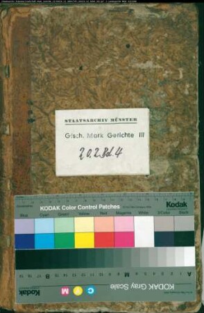 Hypothekenbuch des Kirchspiels Meiningsen (Ampen, Barnhuser Hof, Bergede, Deiringsen, Epsingen, Hiddingsen, Jacobi-Feldmark, Lendringsen, Meiningsen, Müllingsen, Ostheide) Bd. 4