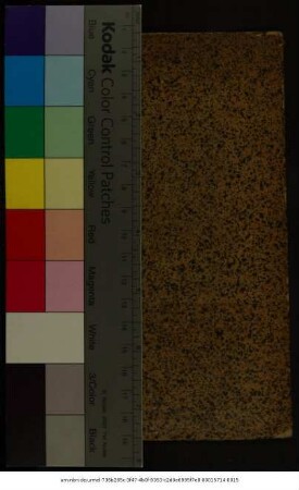 Tractatus De Politia Ecclesiæ Anglicanæ.