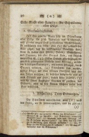 Erste Klasse oder Familie: die Schwämme, oder Pilze.