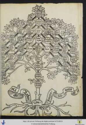 Arbor consanguinitatis (Abbildung).