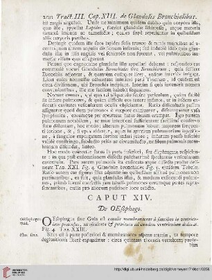 Caput XIV: De OEsophago
