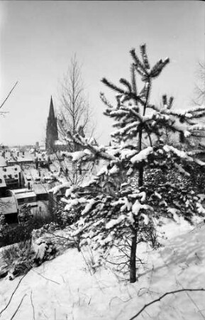 Freiburg: Blick vom Schlossberg auf verschneite Sträucher und Münster