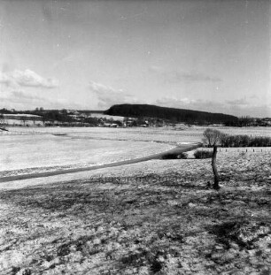 Travetal: vorn kleiner Baum und Zaun: dahinter Wiesen und Trave: hinten links Steinfeld: hinten rechts Steinkamp: Winter