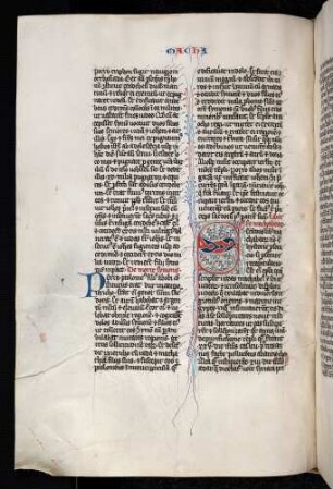 Zierinitiale: S(ecundus), Fleuronné, vegetabiles Ornament