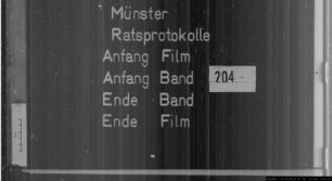 Ratsprotokolle des Jahres 1794