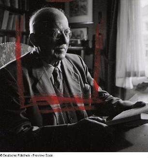Portraitserie Hermann Staudinger