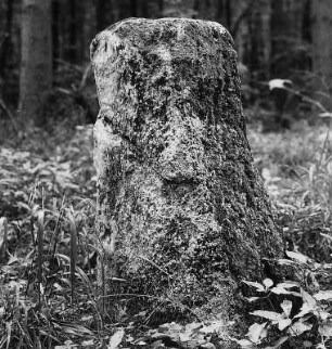 Grenzstein; Ringgau, Hahntriescher