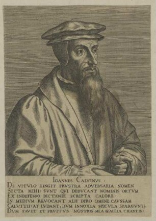 Bildnis des Ioannes Calvinus