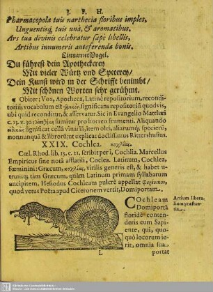 XXIX. Cochlea