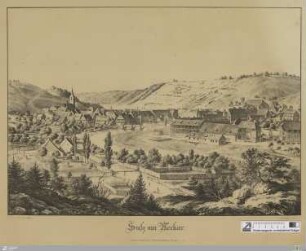 Sulz am Neckar
