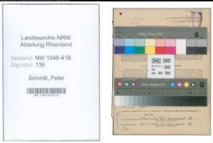 Entnazifizierung Peter Schmitt , geb. 09.05.1900 (Feuerwehrmann)