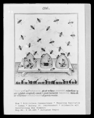 Theatrum Sanitatis — Bildseite mit Darstellung des Sommers