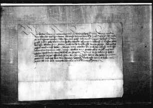 Graf Eberhard V. erlaubt, daß sein armer Mann Hans Brun von Besenfeld dem Stift Baden eine Gült von 5 fl. um 100 fl. auf einen Wiederkauf verkauft.