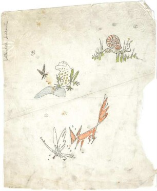 Schneider - Esleben, Paul; Lennestadt - Saalhausen; Volksschule - Entwürfe Tierbilder