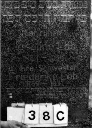 Grabstein 38 (Index: 100110155) Material: Granit Zustand: gut Maße HxBxT: 119x51x16 cm Beschreibung: Stele, geschwungener Rundbogenabschluß Symbolik: Davidstern Besonderheit: Geschwistergrab: Grabstein 38C
