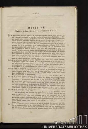 Blatt VII. Mehrere andere Arten von gusseisernen Rädern.