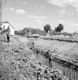 Barnitz: Flussregulierung: Bauabschnitt bei der Ölmühle: Ausbau der Uferböschung: vorn Mitte Arbeiter im Wasser beim der Holzstacks: links auf Böschung Zuschauer: dahinter Haus: hinten rechts Erdhaufen, Baubude und Baufahrzeug: im Hintergrund Bäume