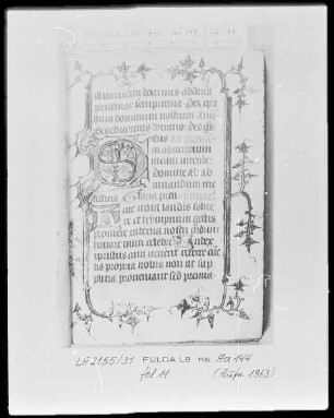 Officien und Gebete — Initiale D (eus), Folio 11 recto