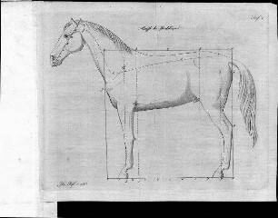 Tafel 1 zu Isis Heft I. 1823