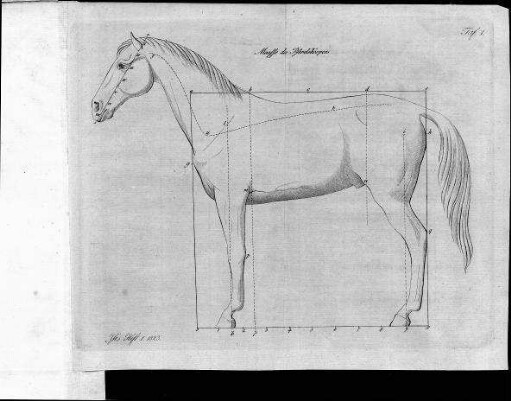 Tafel 1 zu Isis Heft I. 1823