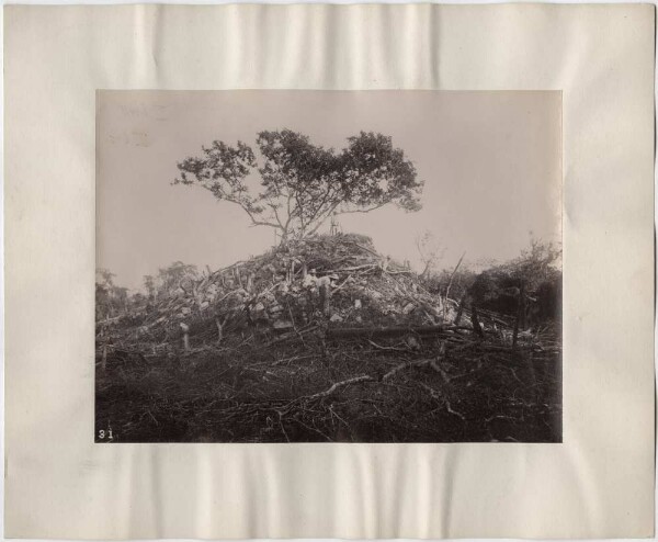 "Mound 6 avant l'excavation. (24 décembre 1888). Vue vers le nord".