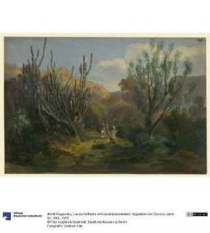 Landschaftsbild mit Kandelaberkakteen. Vegetation von Texcoco