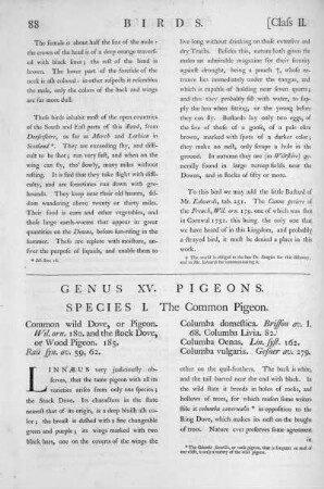 Genus XV. The Pigeons