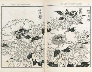 Fig. 141.