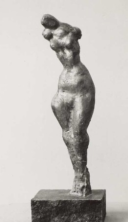 Weiblicher Torso