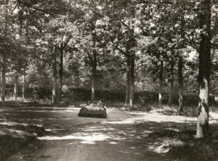 Grab Heinrich Cottas unter den von seinen Schülern zu seinem 80. Geburtstag gepflanzten 80 Eichen im Wald bei Tharandt