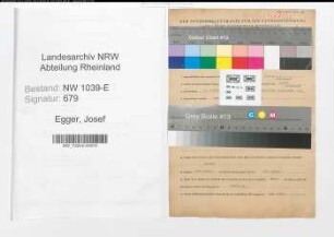 Entnazifizierung Josef Egger , geb. 02.01.1913 (Revisor)