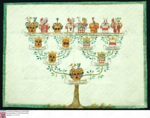 Ahnenprobe des Ludwig Johann Karl August Reinhard v. Dernbach. - ausgefertigt 1755 Juli 28, Pergament