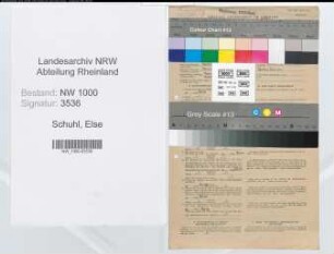 Entnazifizierung Else Schuhl, geb. 04.04.1885 (Arbeiterin)