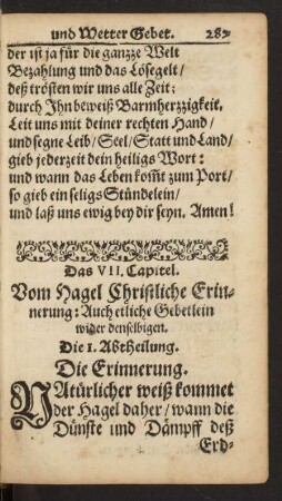 Das VII. Capitel. Vom Hagel/ Christliche Erinnerung: [...]
