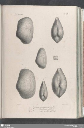 Pl. 358