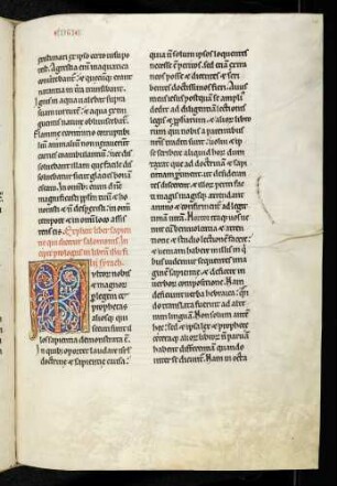 Zierinitiale (Ecclesiastius, Prolog): M(ultorum nobis)