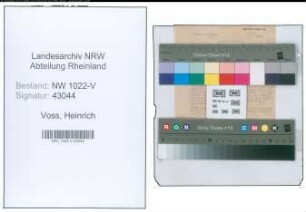 Entnazifizierung Heinrich Voss , geb. (Oberverwaltungsrat)
