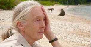 Jane's Journey - Die Lebensreise der Jane Goodall
